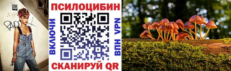 это состав  Теберда  Галлюциногенные грибы мицелий  как найти закладки 